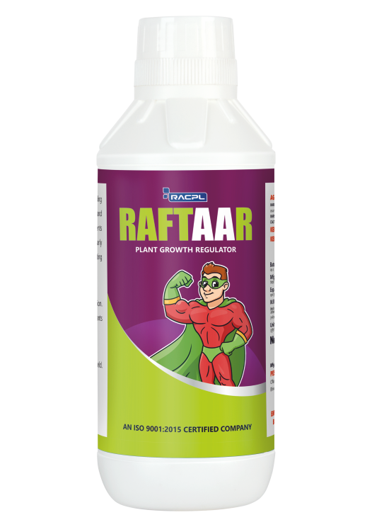Raftaar