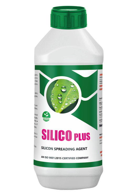 Silico Plus